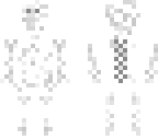 the skeleton
