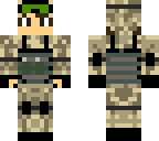 the green vison solder