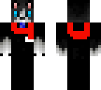 scarf cat