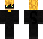 cat noir