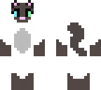 siamese cat