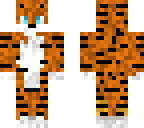 kitty cat
