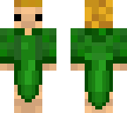 vikking kingdom skin