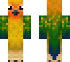 cute bird