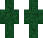 mr camo
