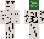 a birch tree