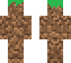 grass