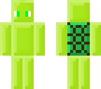 nyceturtle2