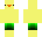 swim duck