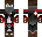 the assassin