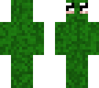ze pickel 
