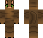 brown cat 3