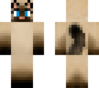 siamese cat