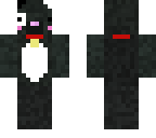 black and white kitty