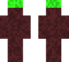 dirt guy