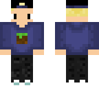grass block guy v2