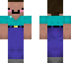 steve idk
