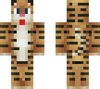 tigre boladaum
