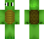 cute turtle