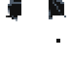 elytra wings