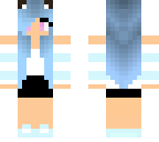 derp version