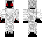 entity 303