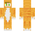 ginger cat boy