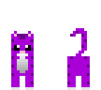 kitty