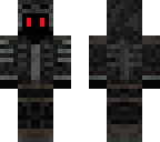 shadow assassin