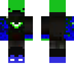 skin