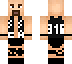 stone cold steve austin