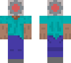 companion cube steve