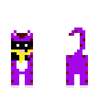 weird cat
