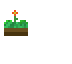 grass