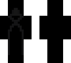 the neverseen