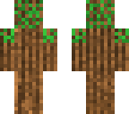 new tree