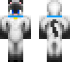 siamese cat