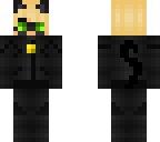 chat noir