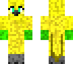 macaw