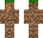 dirt skin