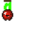 cherry fruit