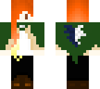 aot custom skin