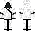 assassin skin