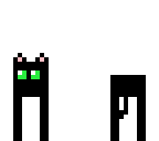 black cat