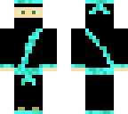 ice ninja