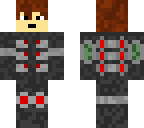 elytra skin