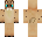different version
