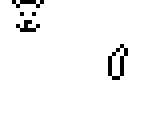 annoying dog