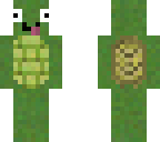 derpy turtle