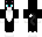 black and white cat
